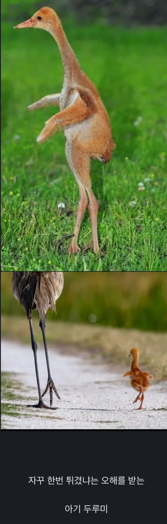 17490496330694.jpeg