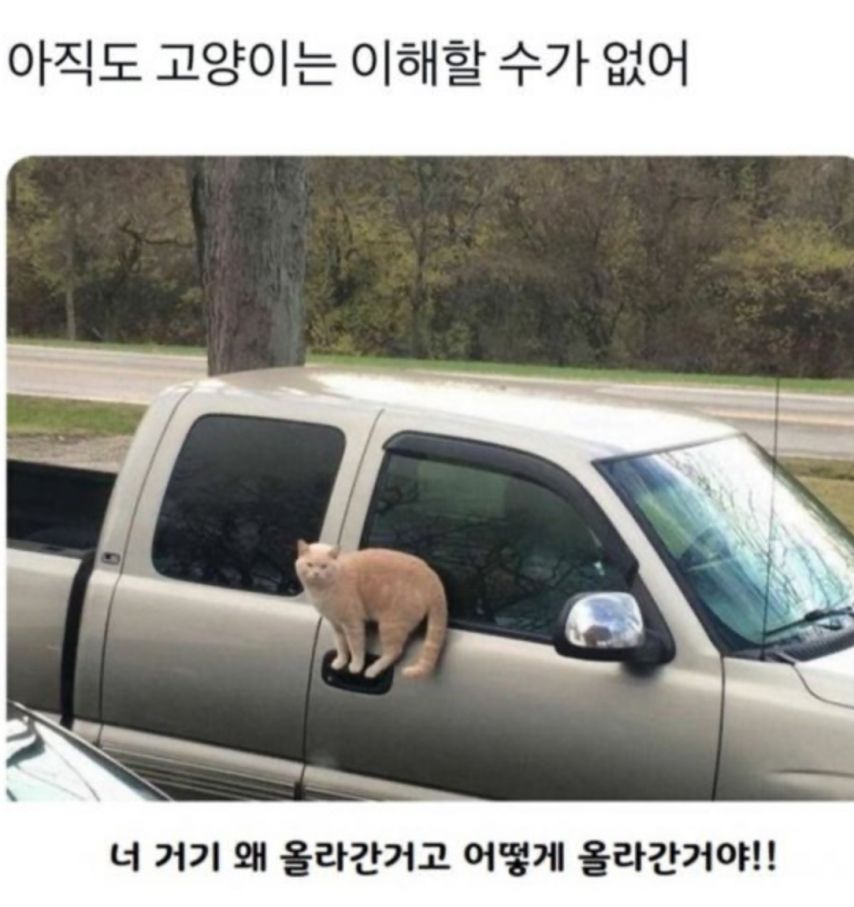 17491363553999.jpeg