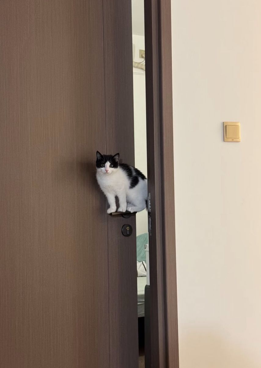 17494806733762.jpeg