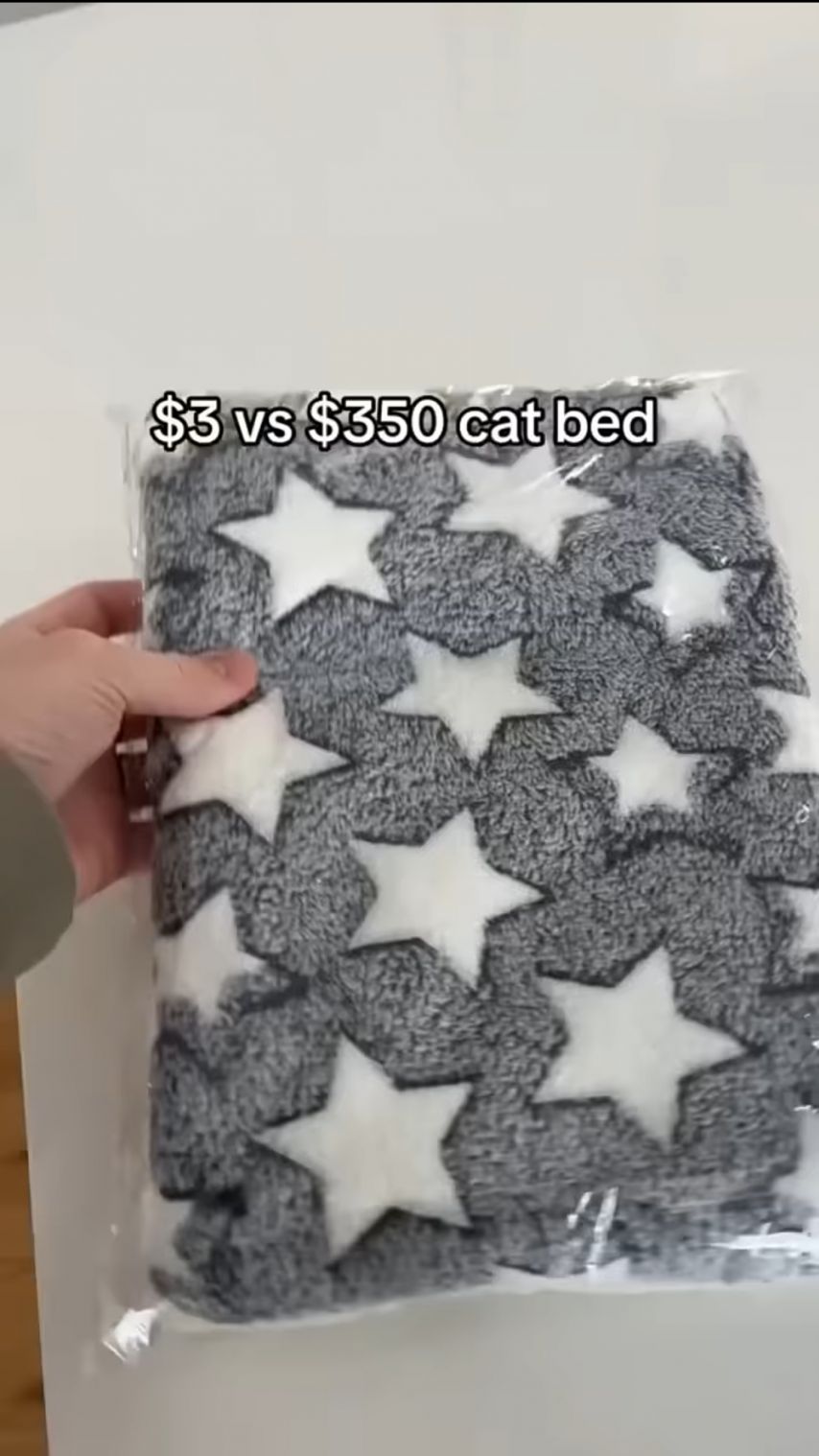 1749568115753.jpeg