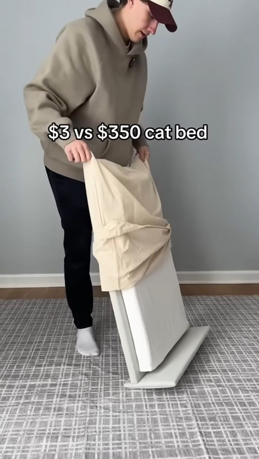 17495681158143.jpeg