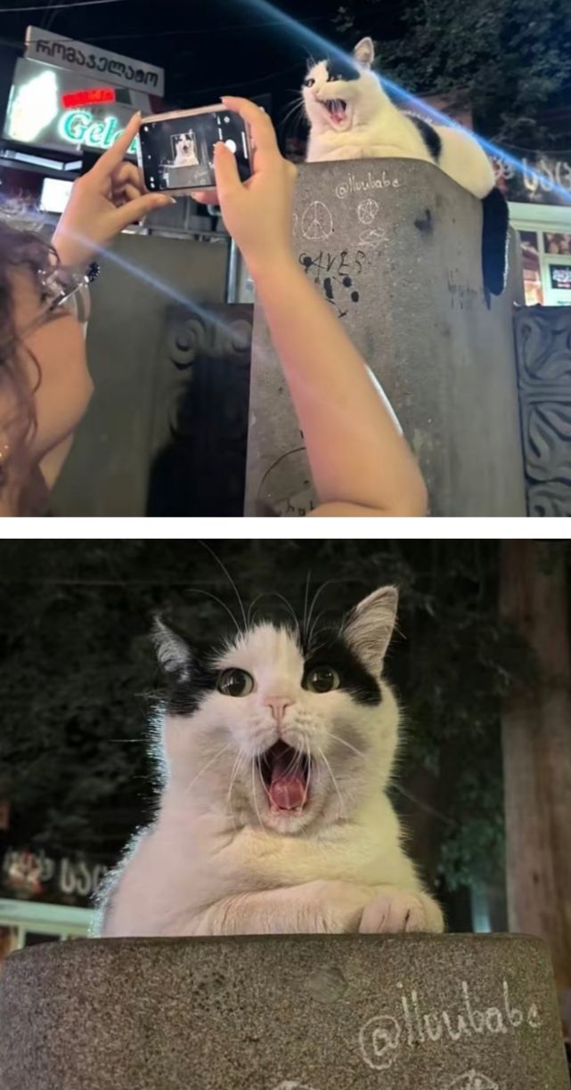 1749654458826.jpeg