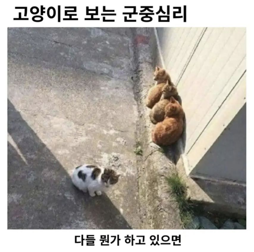 17497410228059.jpeg