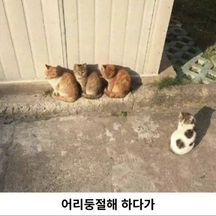 17497410228716.jpeg