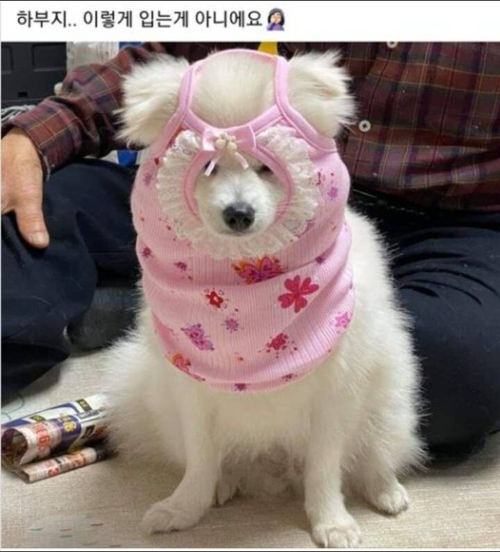 17497410908397.jpeg