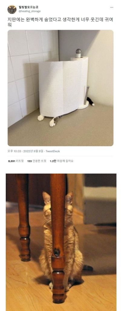 17500873533534.jpeg