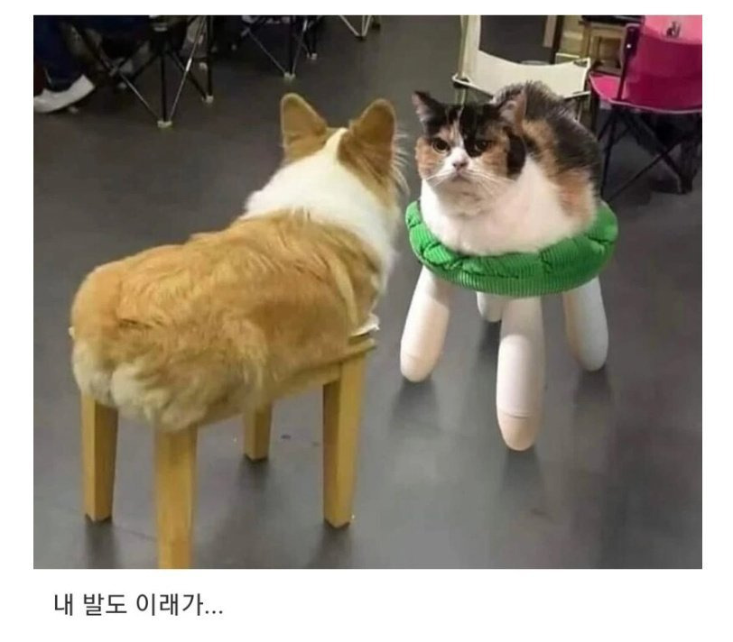 17502590778069.jpeg