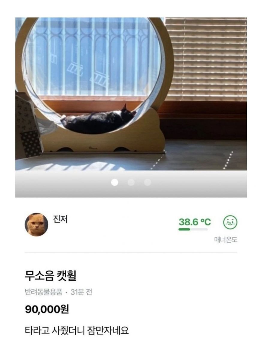 17505180263575.jpeg
