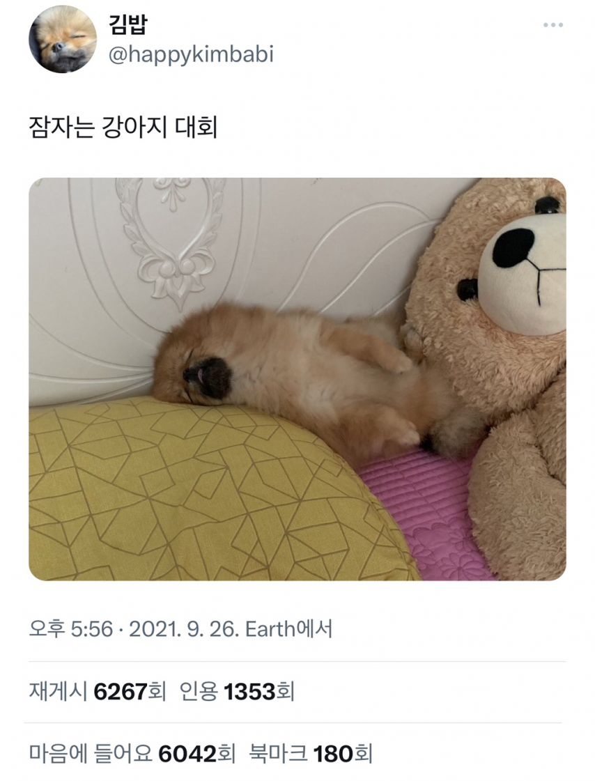 17506071338575.jpeg