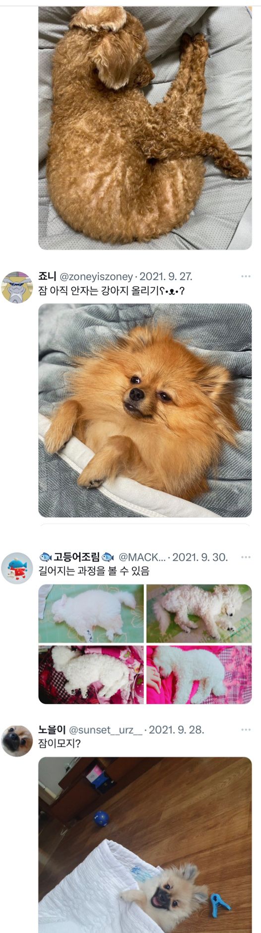 17506071340013.jpeg