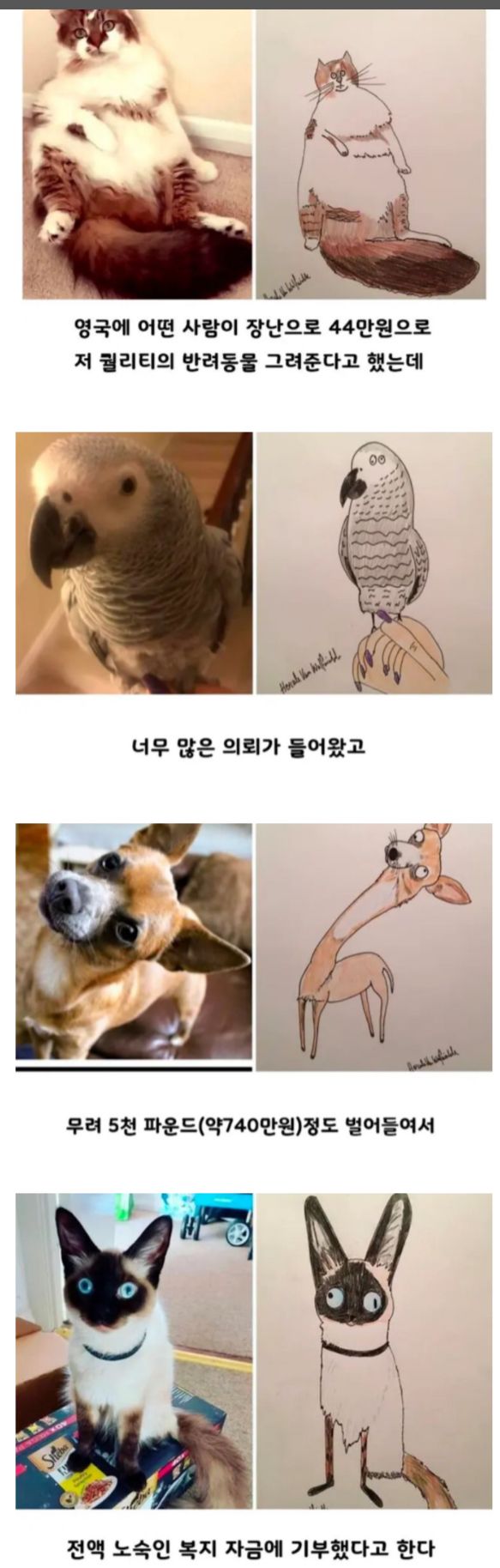 17506903256291.jpeg