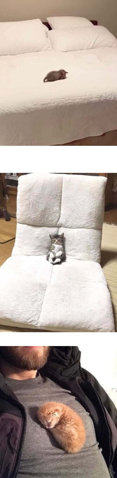 17506903351159.jpeg