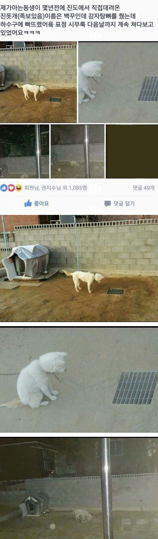 1750779959108.jpeg