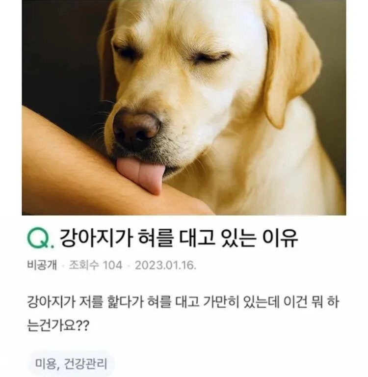 17511248743756.jpeg