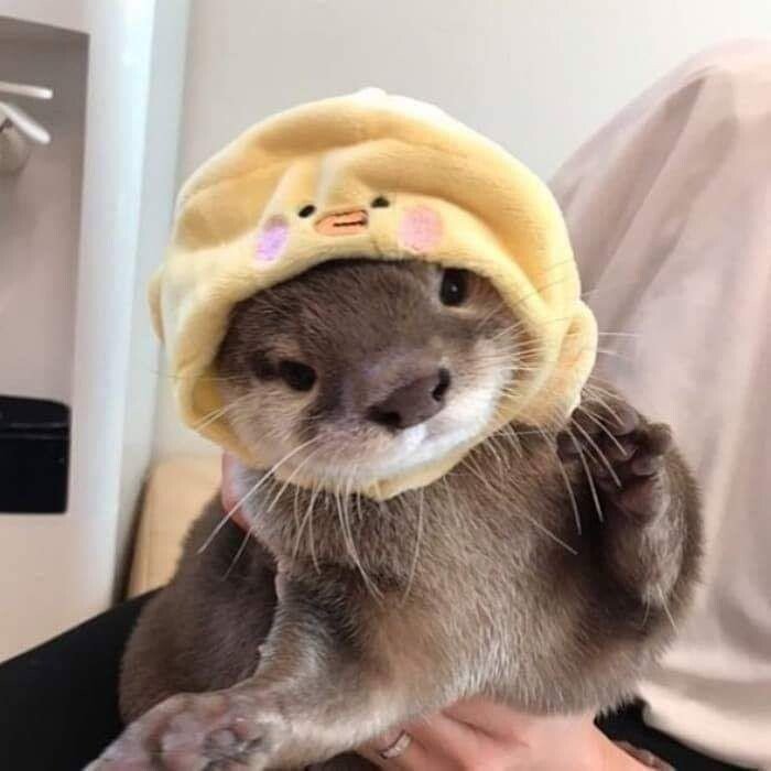 17511248899991.jpeg