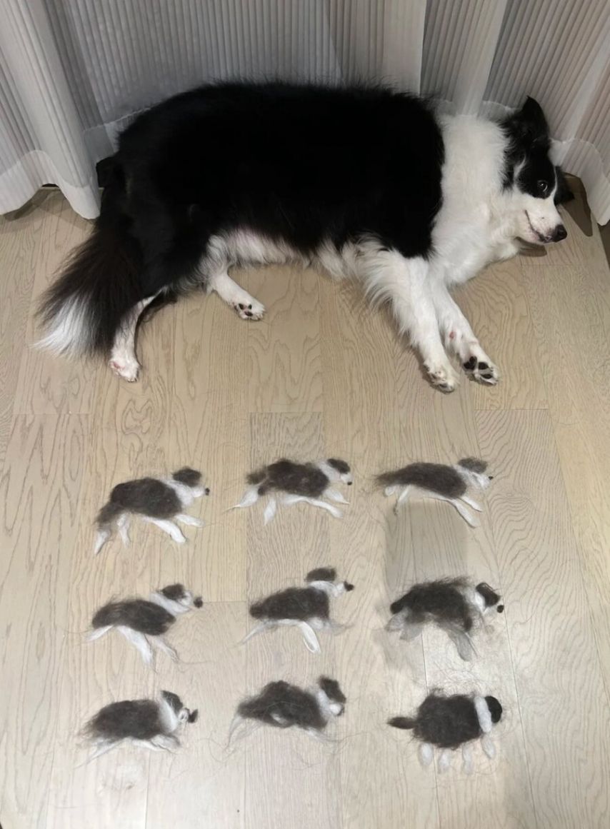 1751381216486.jpeg