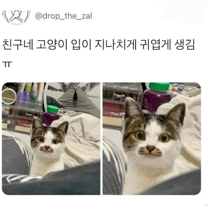 17514705881776.jpeg