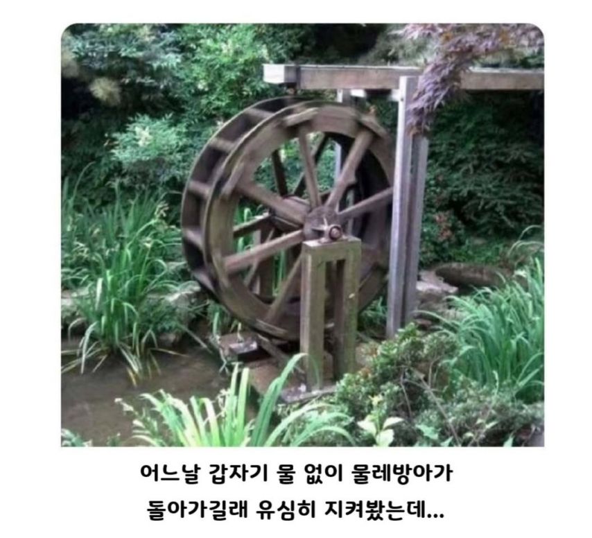 17520747479705.jpeg
