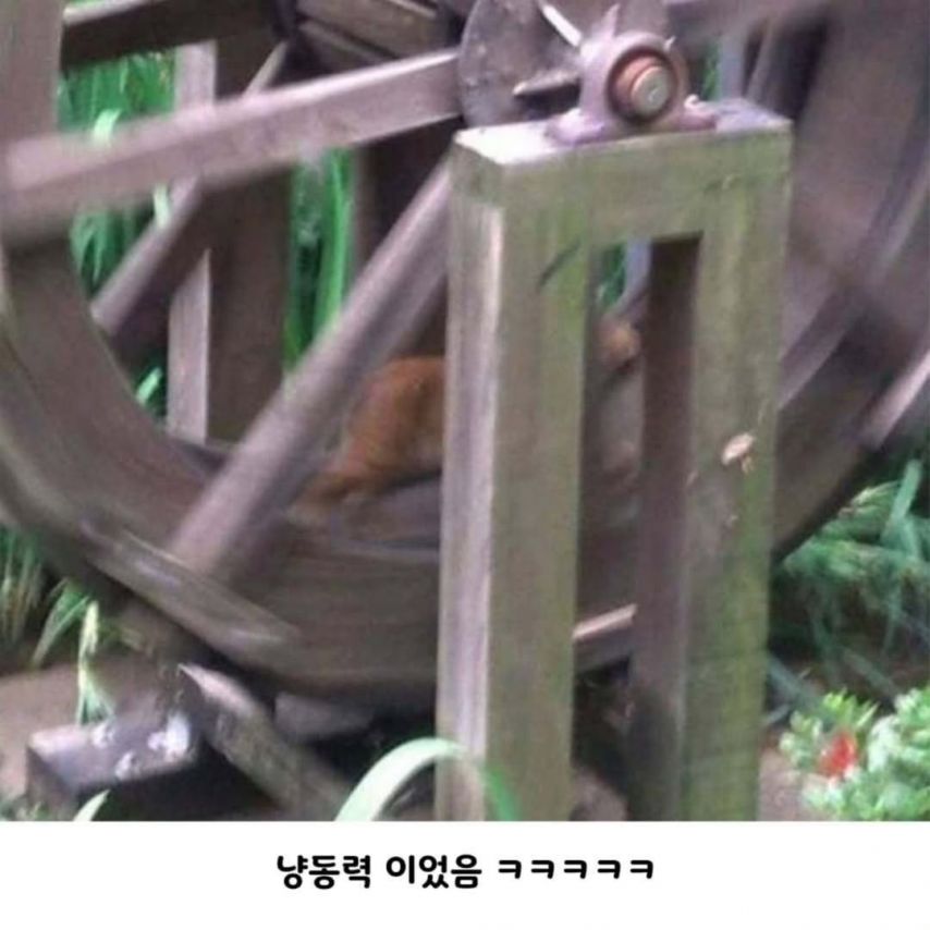 17520747481077.jpeg