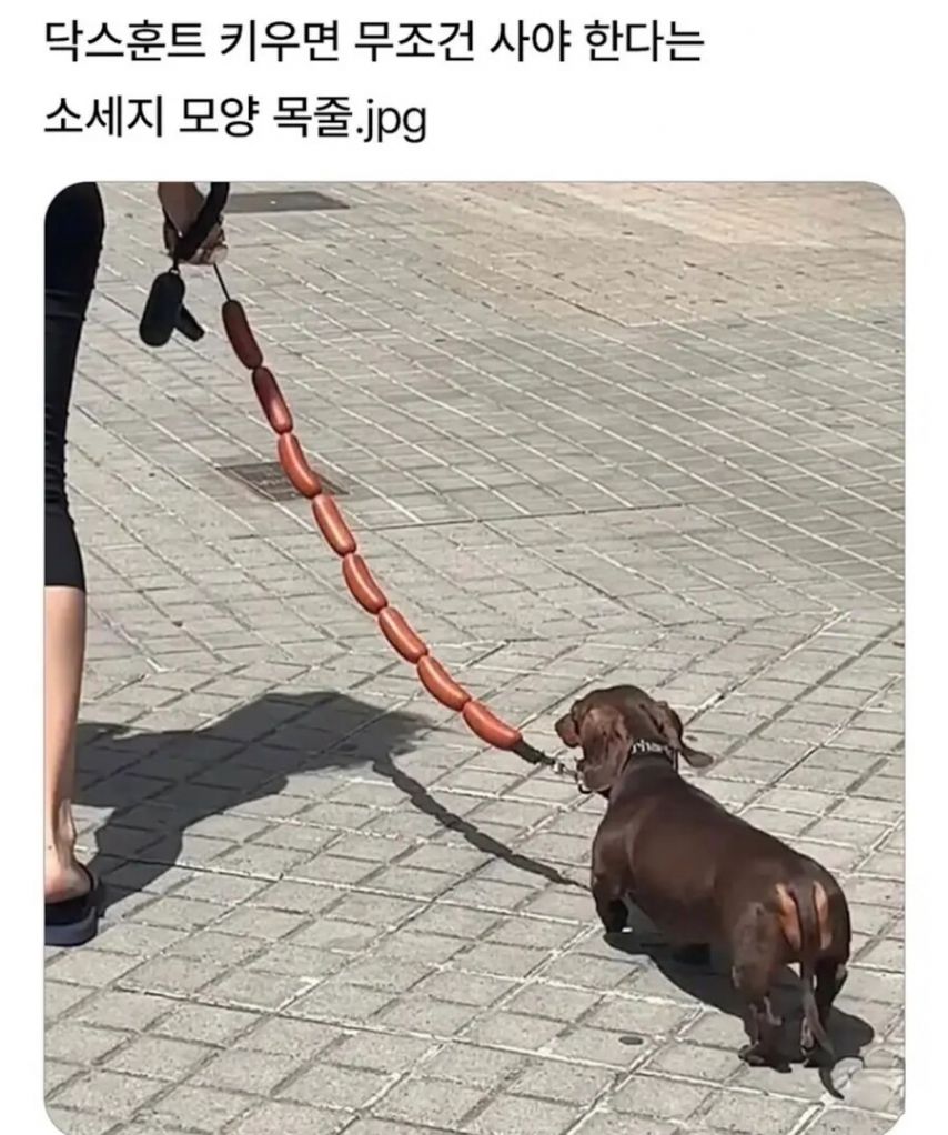 17524246396924.jpeg