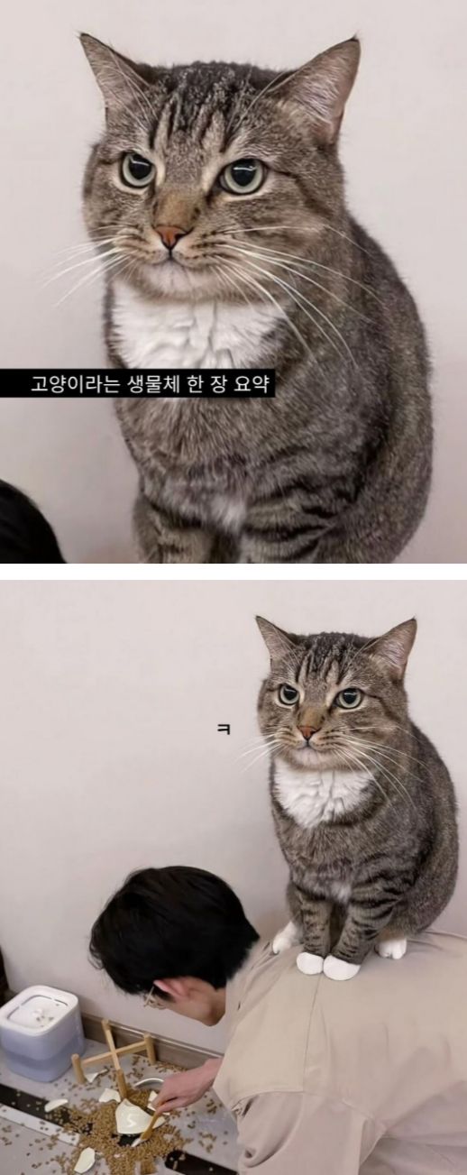 17527656100651.jpeg