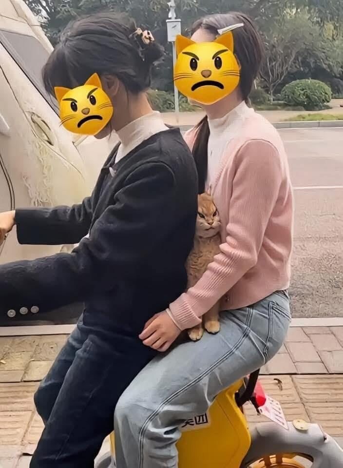 17527656129917.jpeg