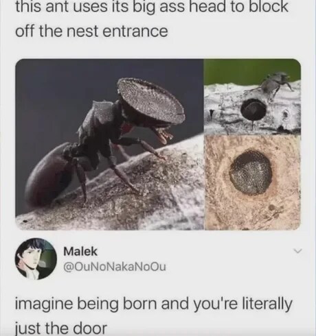 17534632521613.jpeg