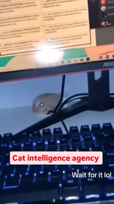 17537191136411.png