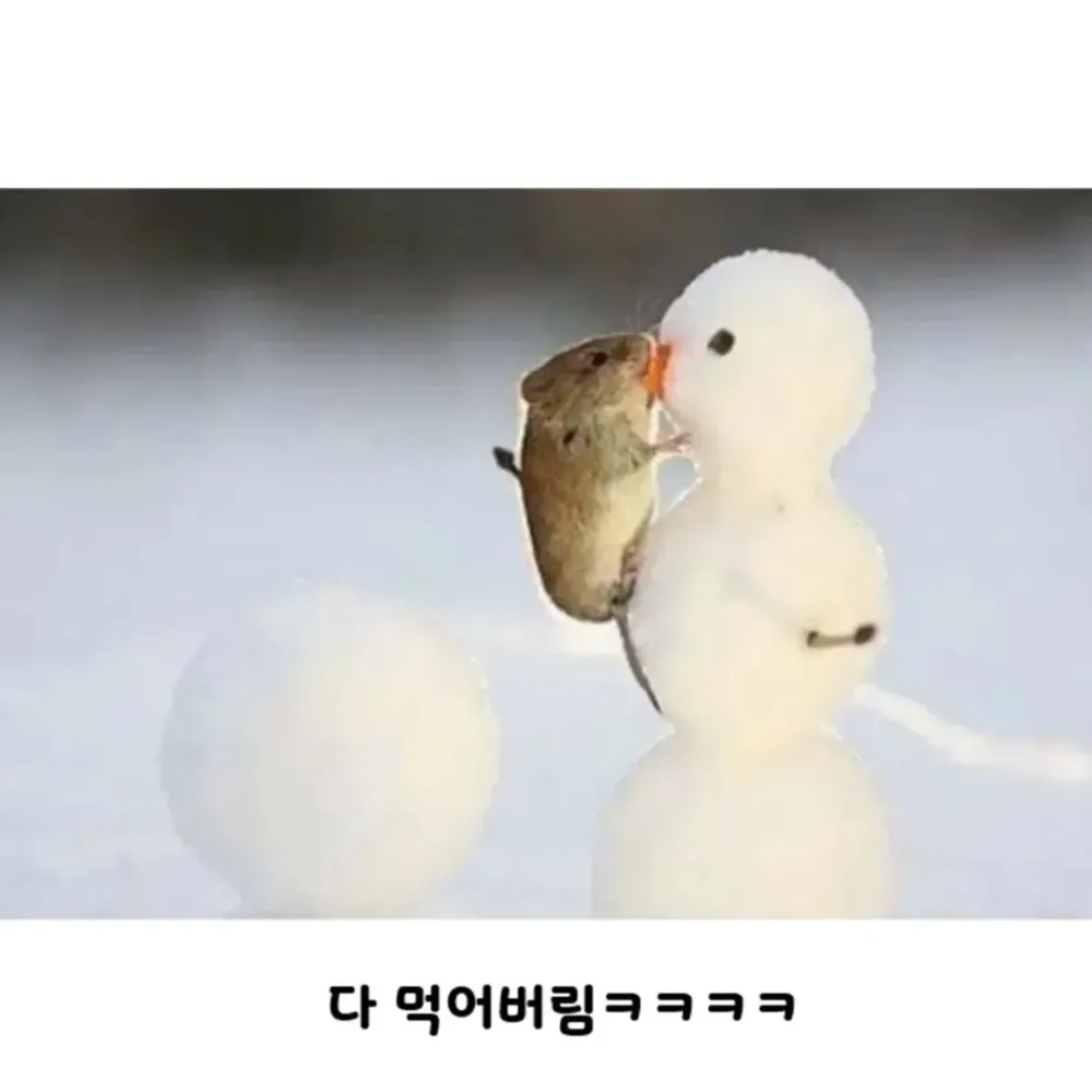 17525932678356.webp