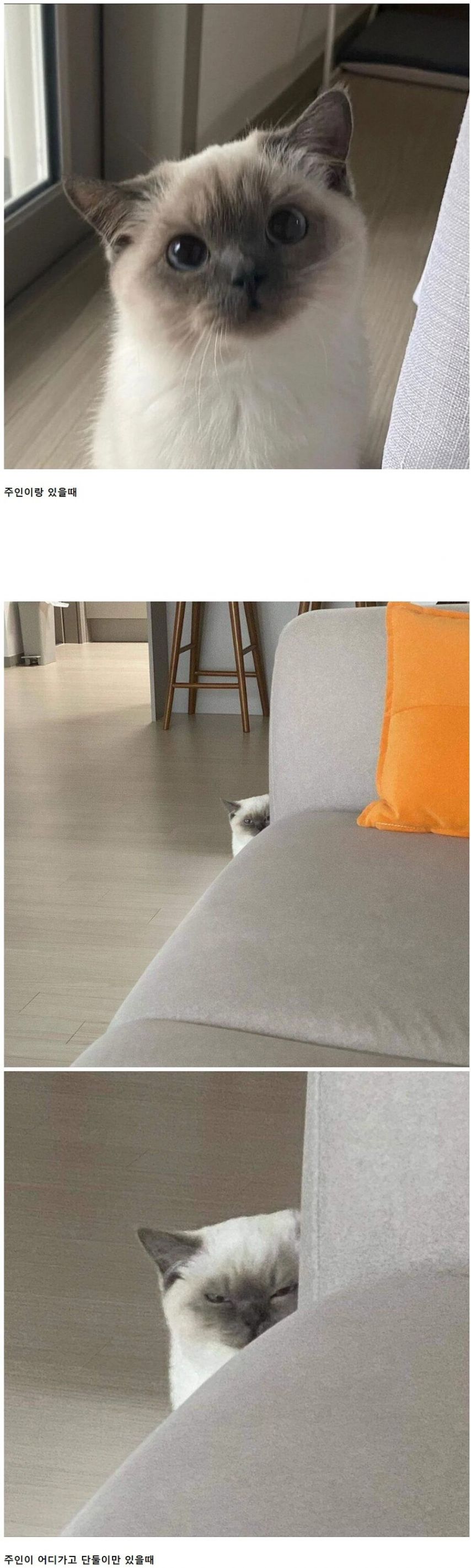 17541582393171.jpeg