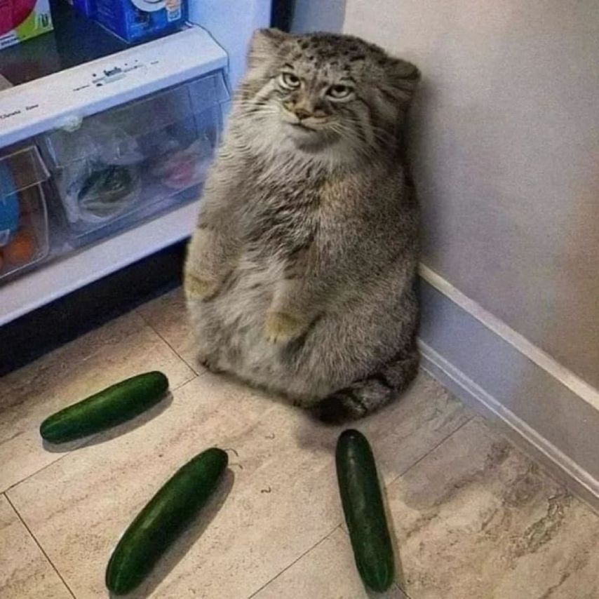 17546693189281.jpeg