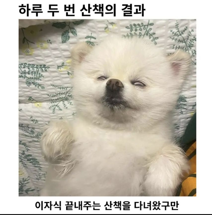 17551810539128.jpeg
