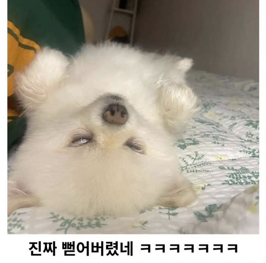 17551810539885.jpeg