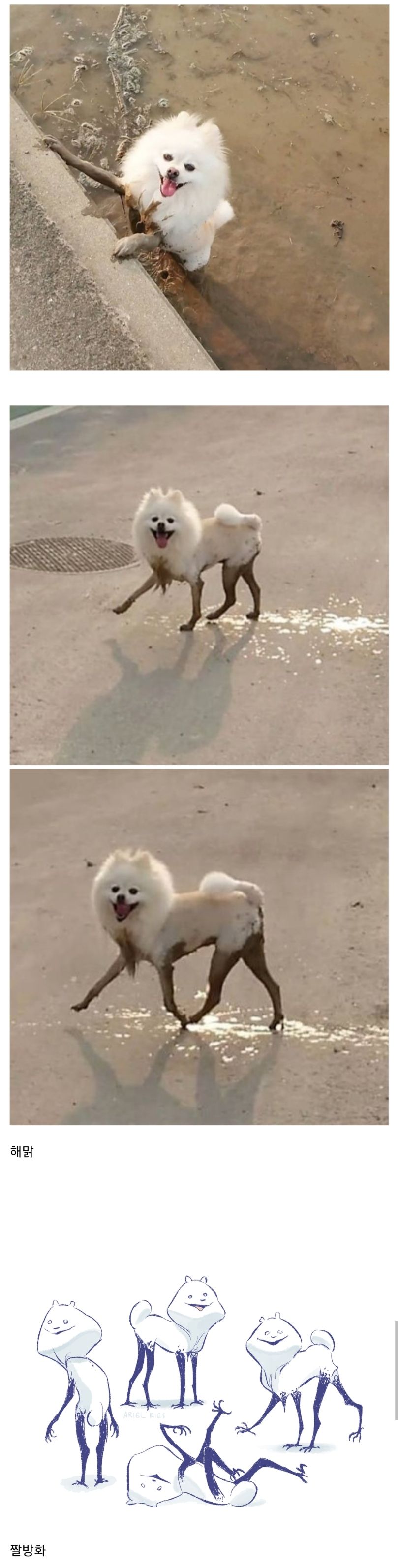 17553546393736.jpeg