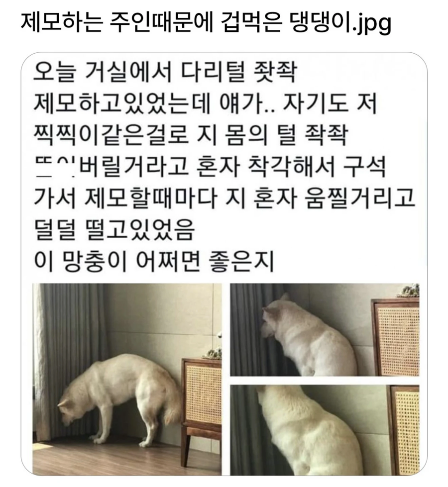 17562314843283.webp