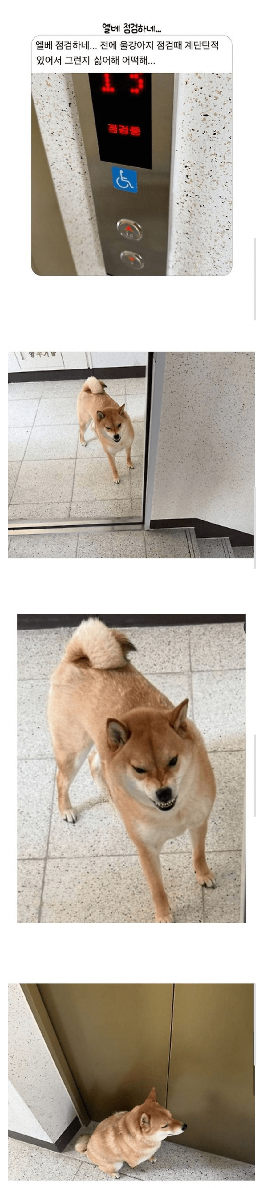 17562314873571.png
