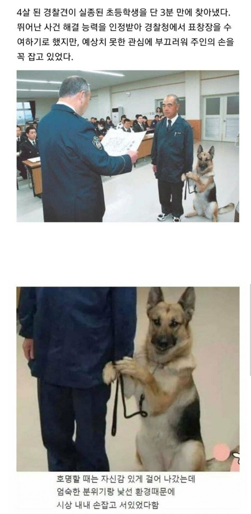 17567352982451.jpeg