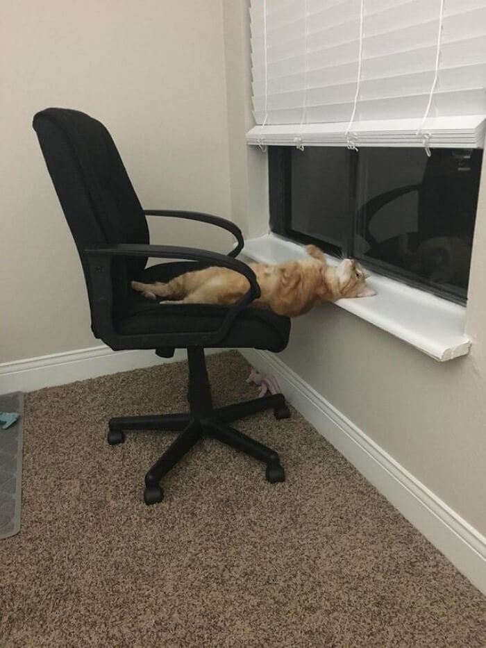 17567353047764.jpeg