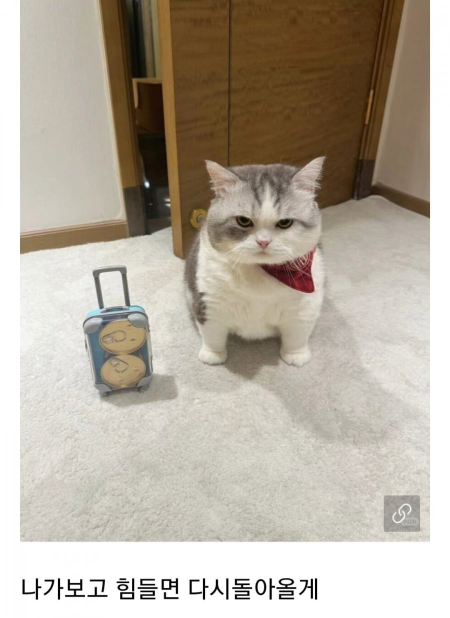17573471910074.png