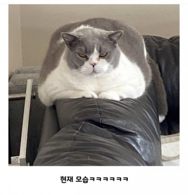 17573472541858.png