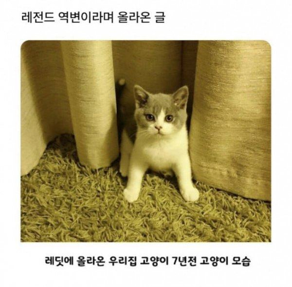 17573472542326.png