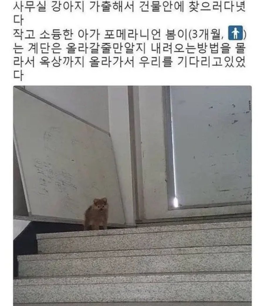 1758291674283.jpeg
