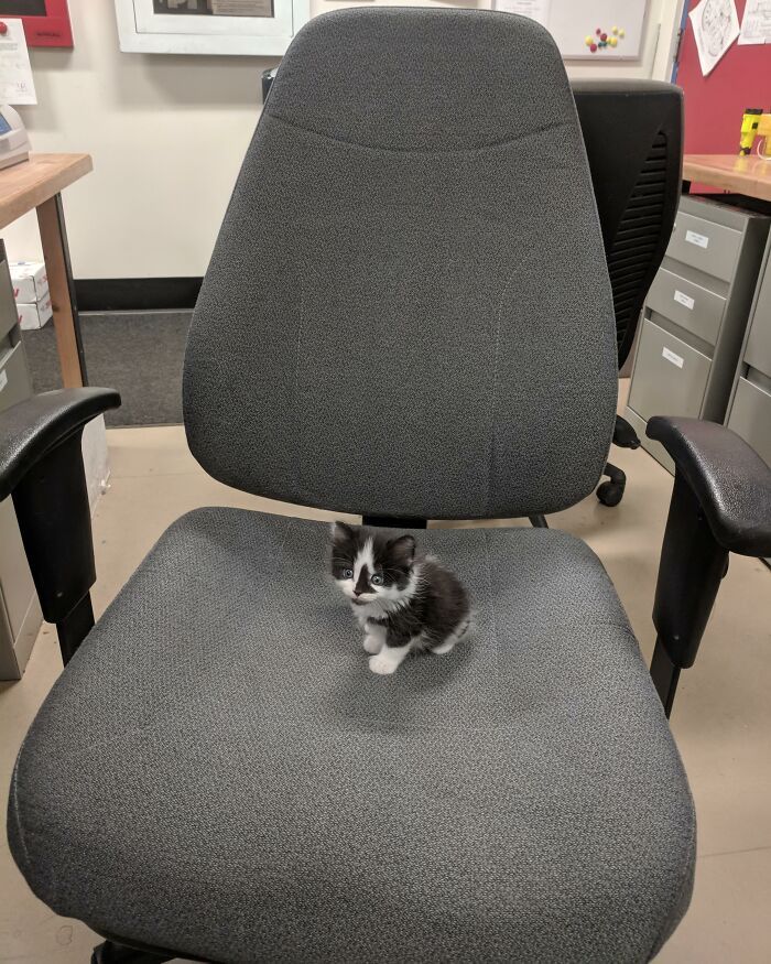 17606282641036.jpeg
