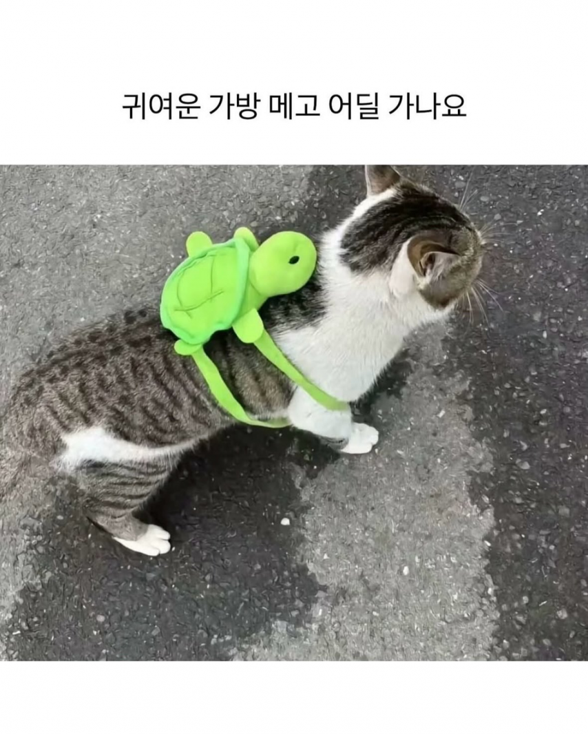 1760975978827.png