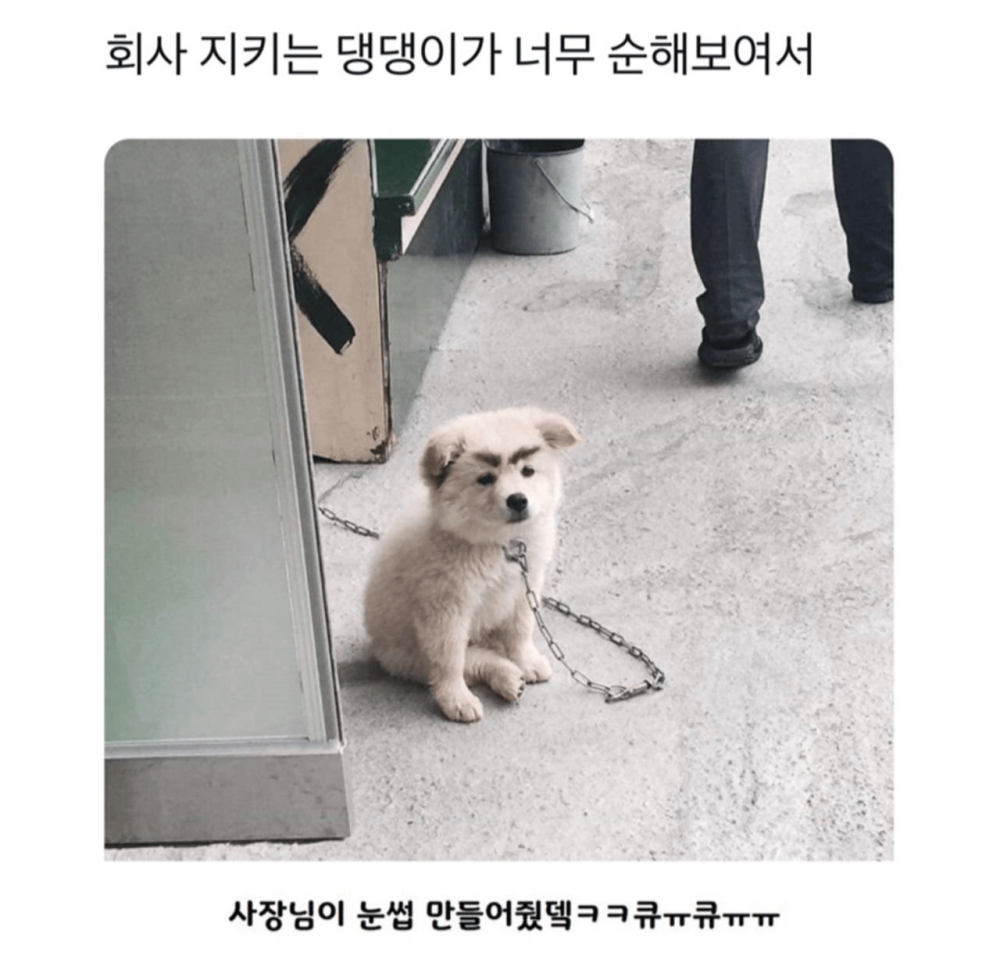 17608932090658.png