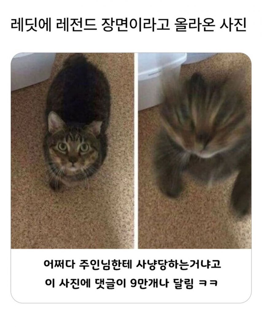 17619300563792.jpeg