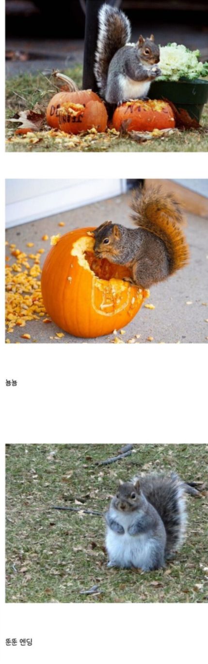 17619300897902.jpeg