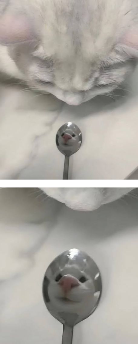 17624411353992.jpeg