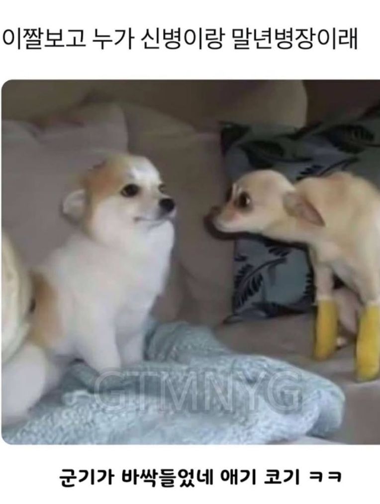 17627000870898.jpeg