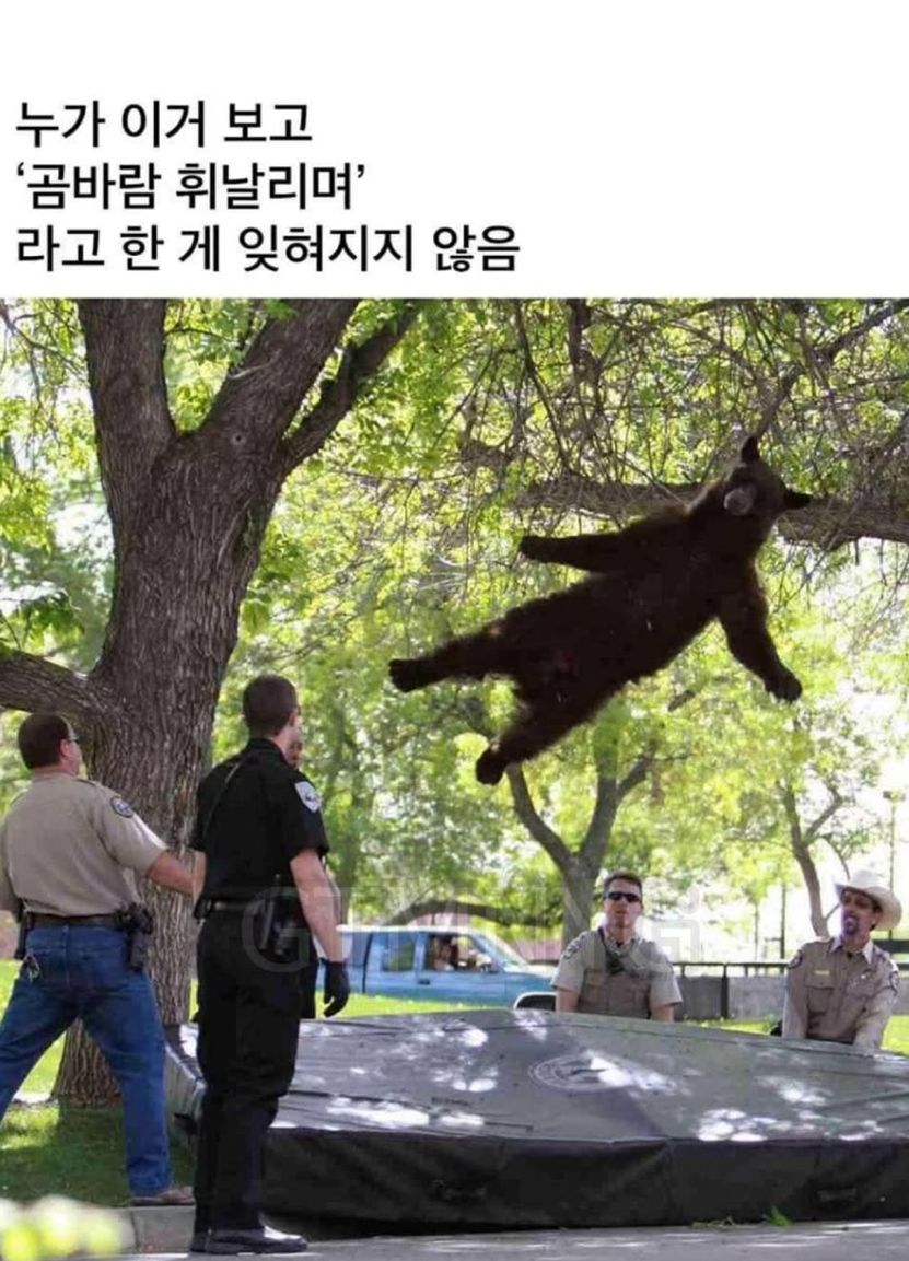 17627000871778.jpeg